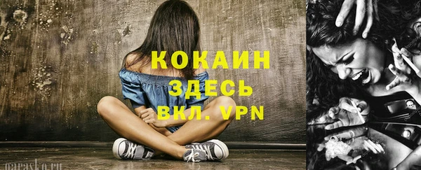 меф Инсар