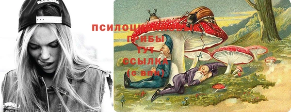 меф Инсар