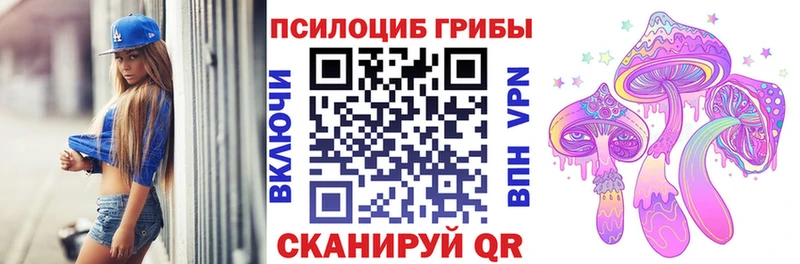 Псилоцибиновые грибы мицелий  Купить где  Аткарск 